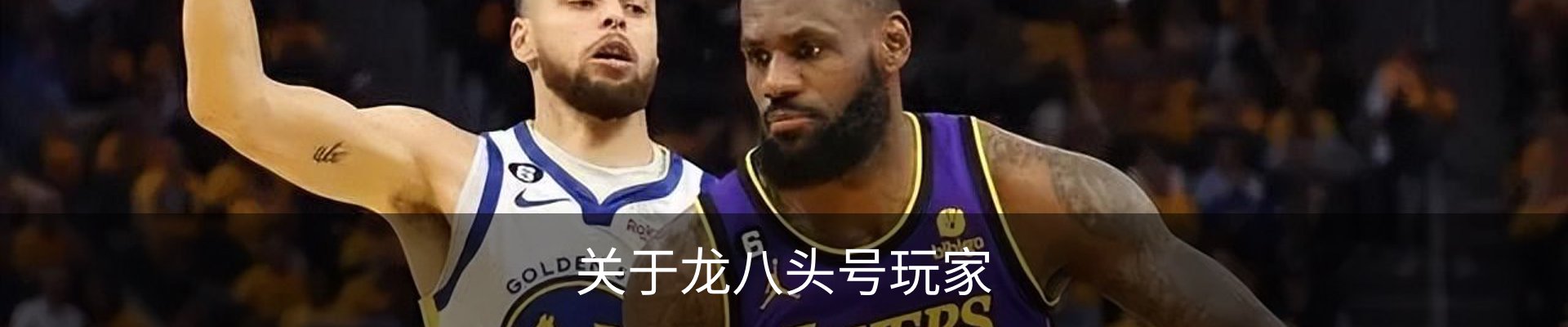 关于龙八头号玩家