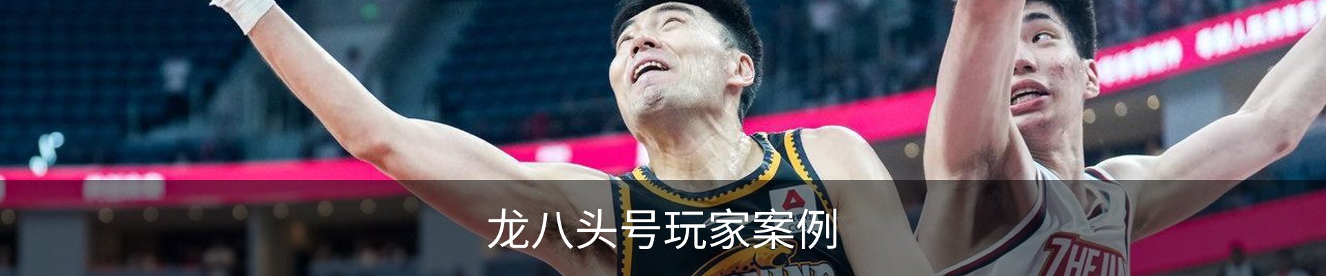 龙八头号玩家案例